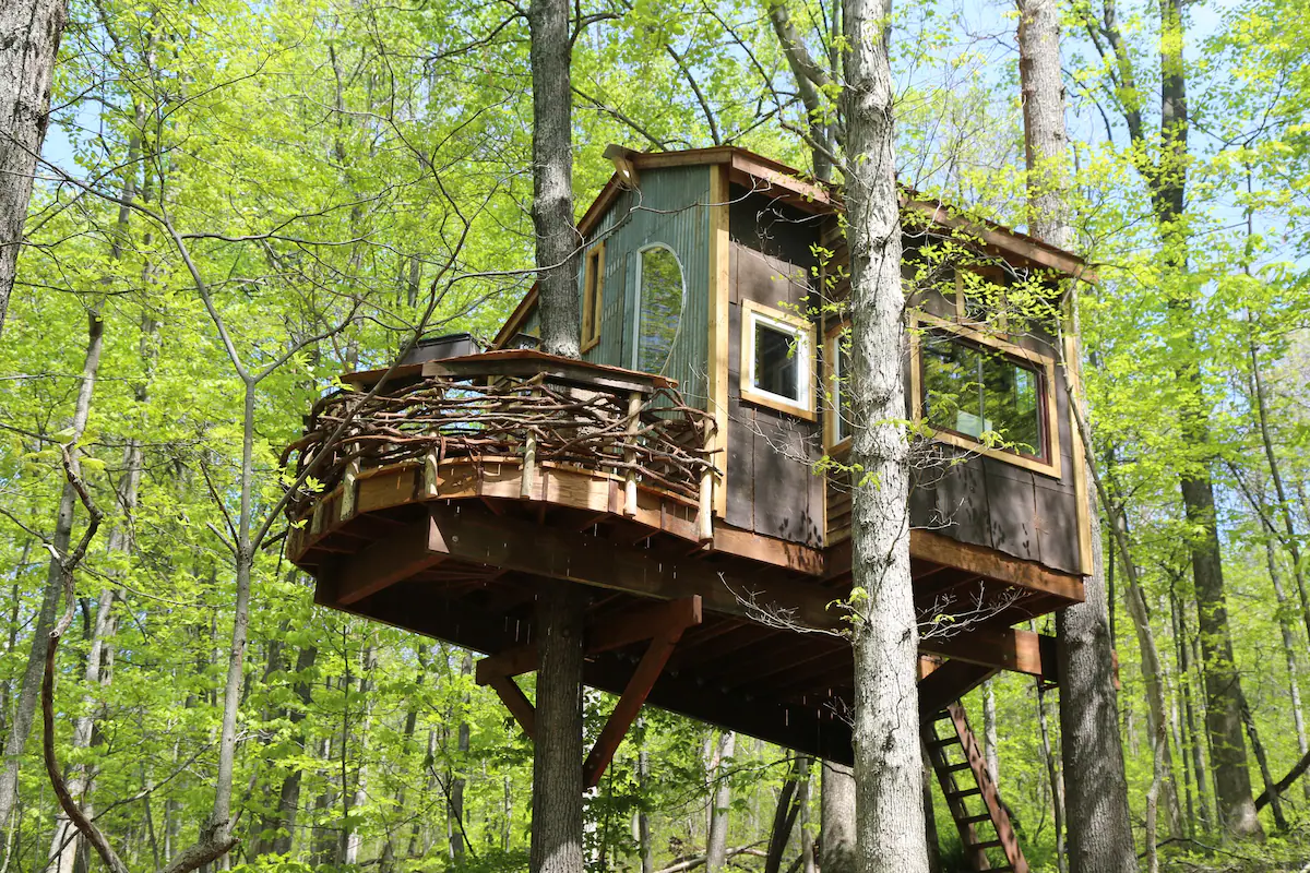 15 Best Airbnbs in Virginia, USA (2022 Edition)