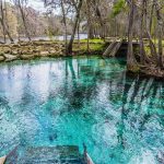 15 Best Springs in Florida, USA