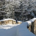 13 Best National Parks to Visit in Winter (2023)