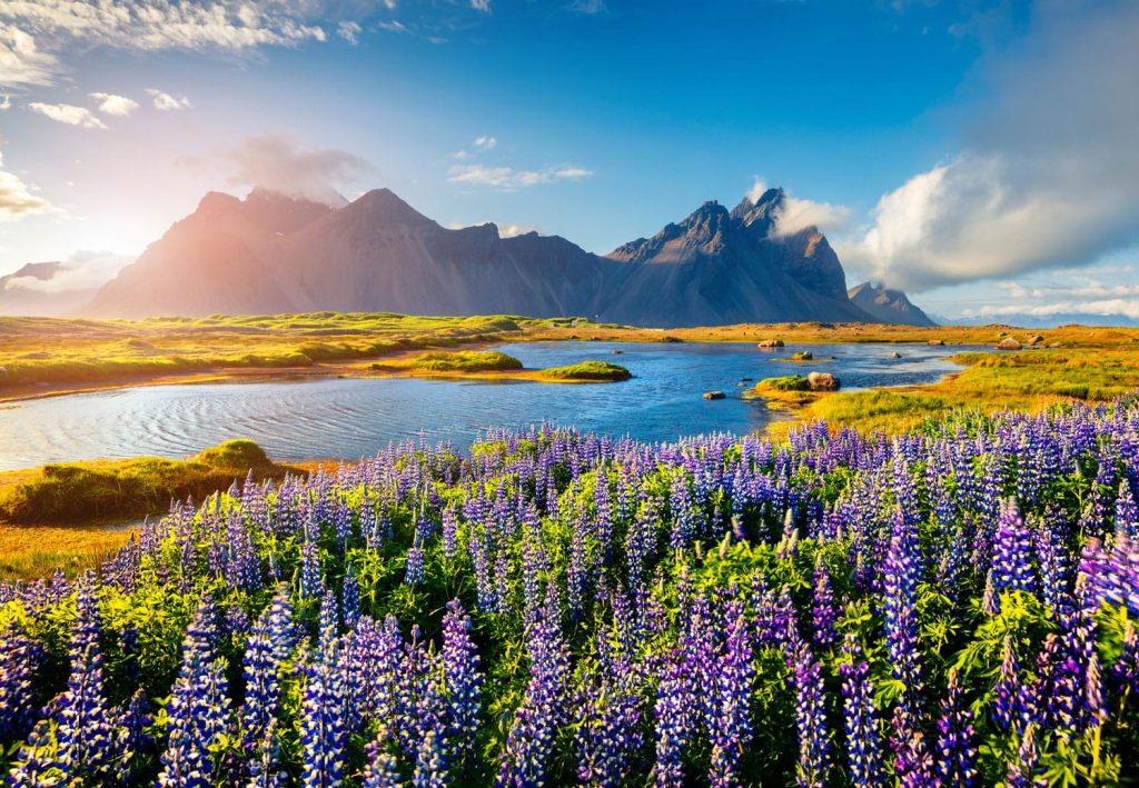 Driving Iceland’s Ring Road: All You Need to Know