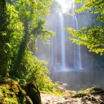 The Ultimate Guide to Visiting Palenque in Mexico