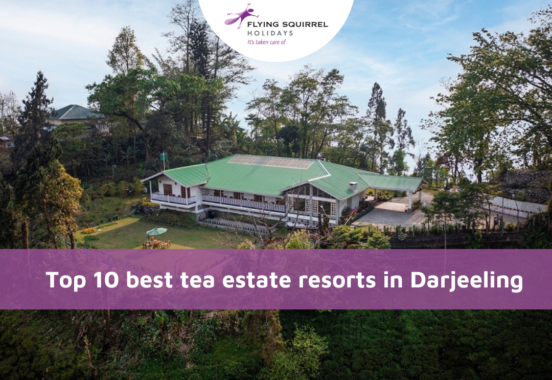 Els 10 millors complexos turístics de Tea Estate a Darjeeling