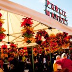 10 Hal Teratas yang Dapat Dilakukan di Seattle, WA