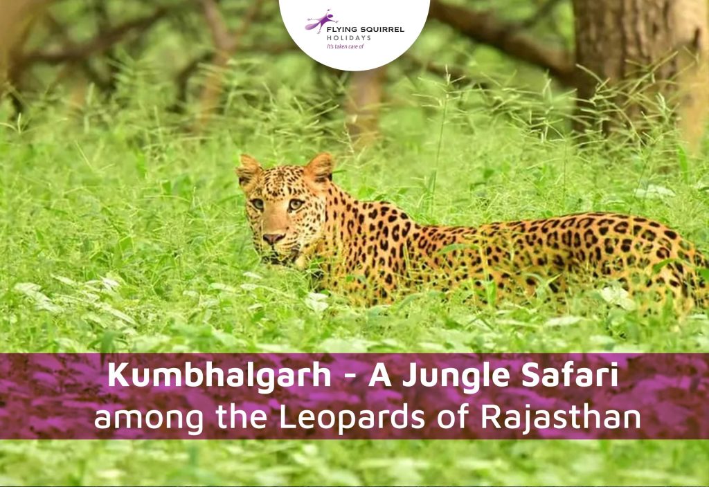 Kumbhalgarh – Safari hutan di antara macan tutul Rajasthan