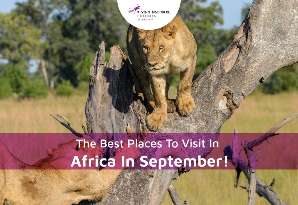 Tempat terbaik untuk dikunjungi di Afrika pada bulan September