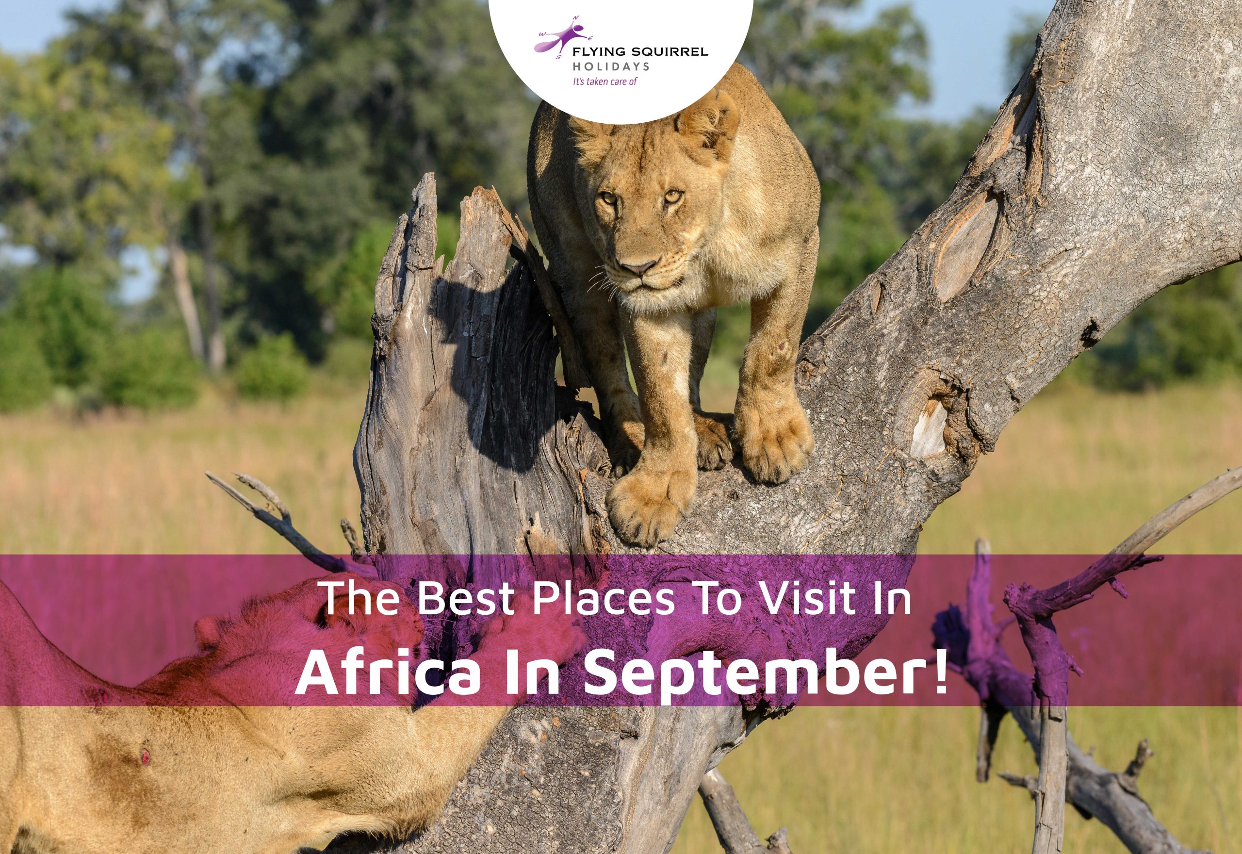 Tempat terbaik untuk dikunjungi di Afrika pada bulan September