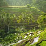 10 Days in Bali: The Perfect Bali Itinerary
