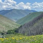 Keseruan Musim Panas: Tiga Hari di Sun Valley Idaho (2023)