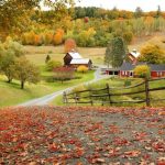 8 Charming New England Fall Getaways for Families (2023)