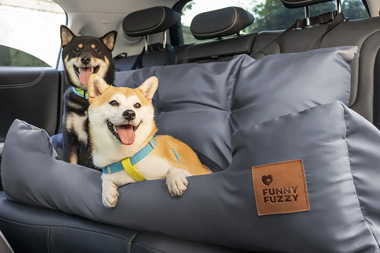 How to Road Trip With Your Dog: The Ultimate Guide