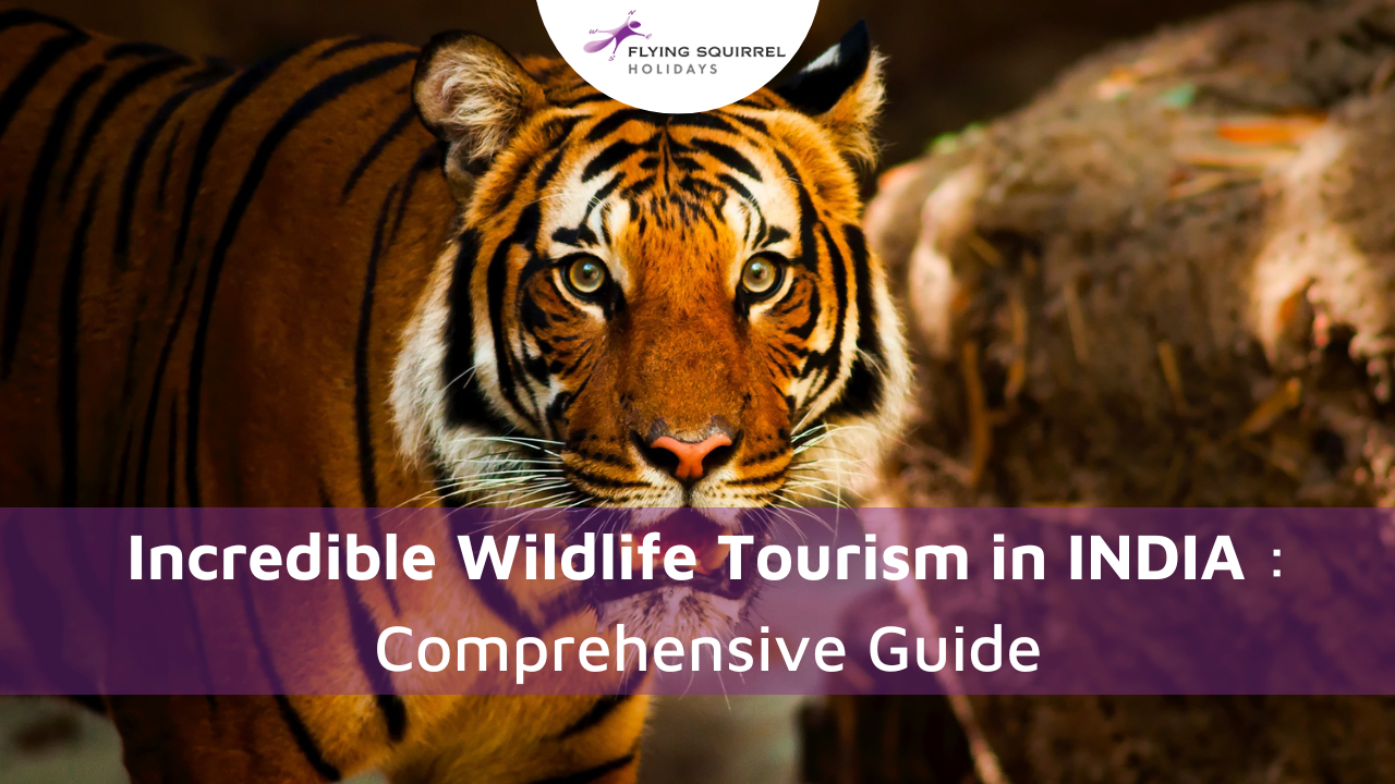 Incredible Wildlife Tourism In INDIA : Comprehensive Guide