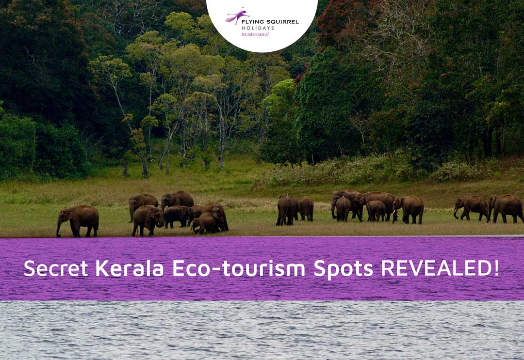 Secret Kerala Eco-tourism Spots REVEALED! [2024 UPDATE]