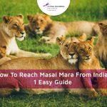 How To Reach Masai Mara From India – 1 Easy Guide