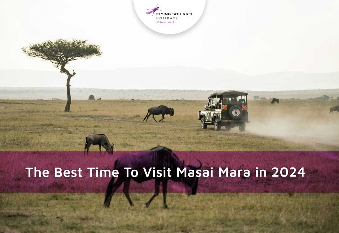The Best Time To Visit Masai Mara In 2024
