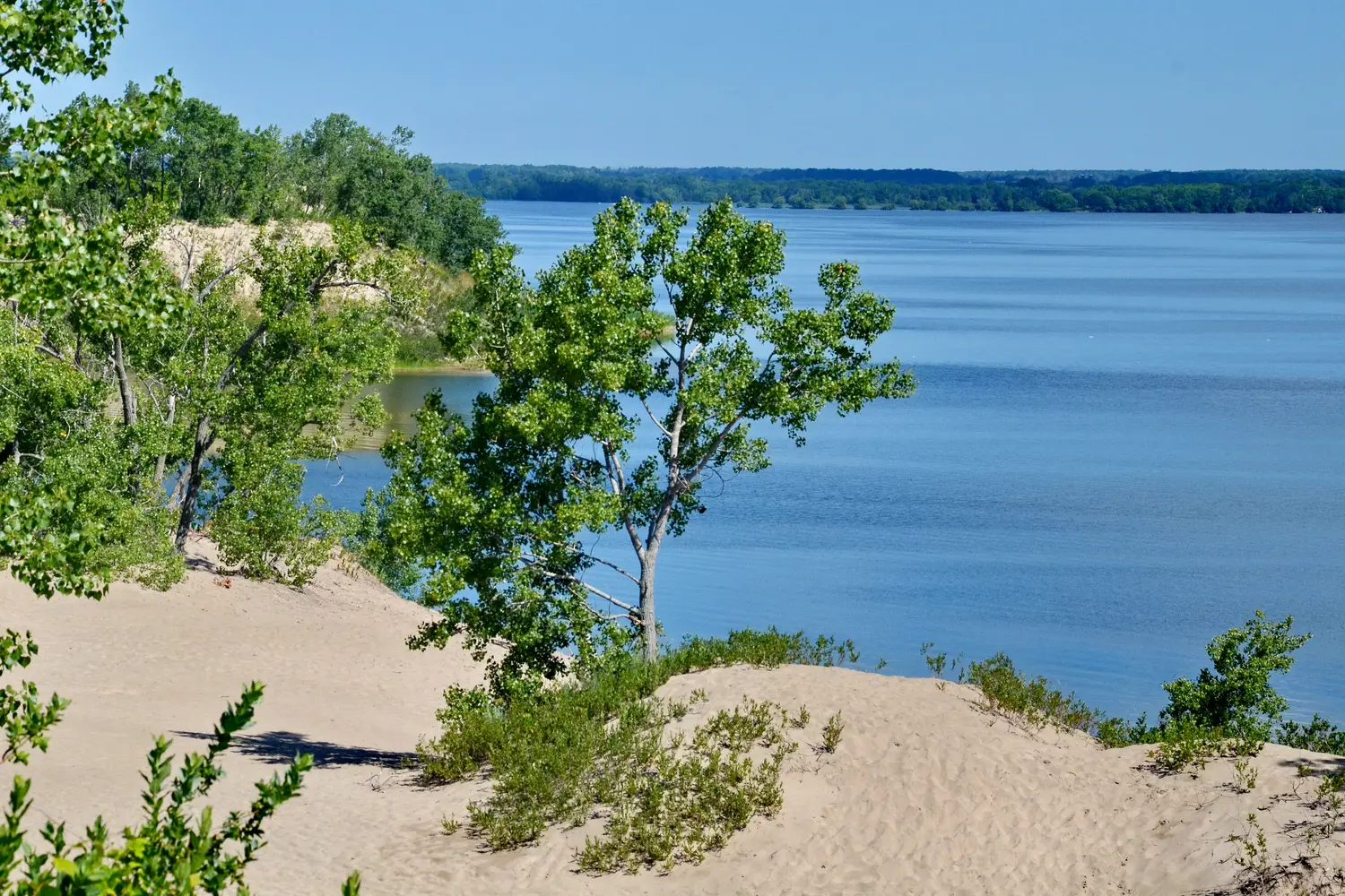 The Ultimate Guide to Visiting Sandbanks Provincial Park