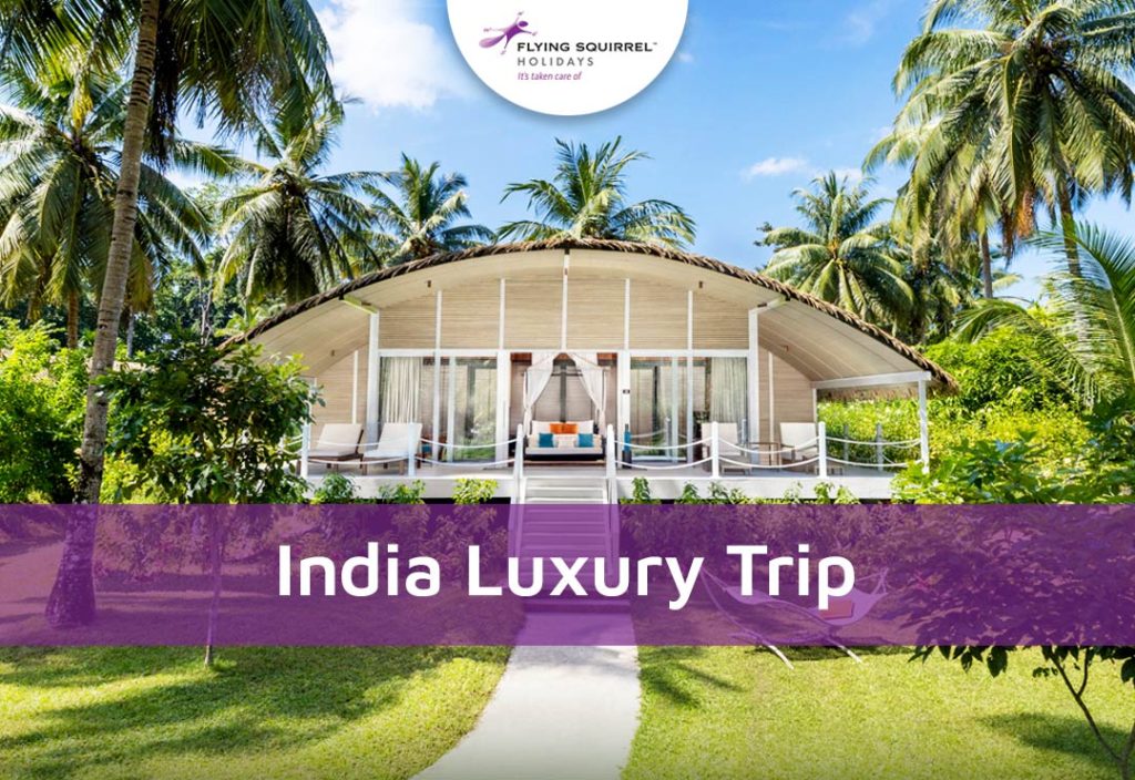 India Luxury Trip – Flying Squirrel Holidays