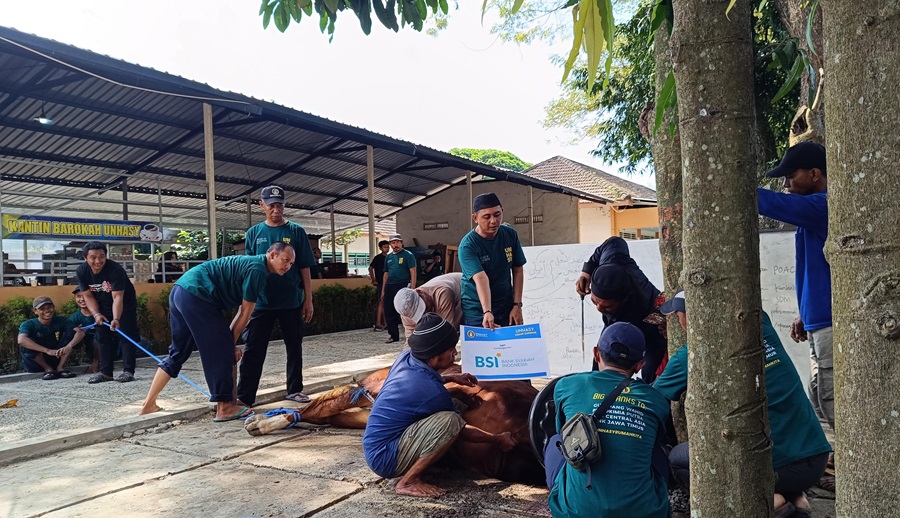 Unhasy Tebar Hewan Kurban untuk Karyawan hingga Warga Sekitar