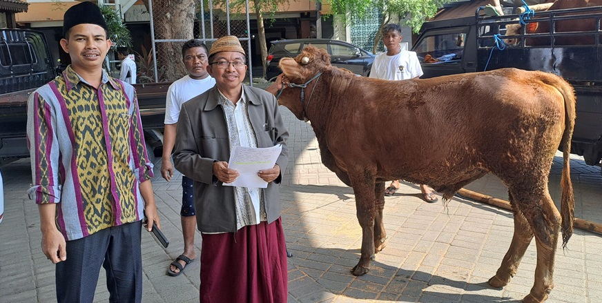 Hewan Kurban di Tebuireng Meningkat Sejak 2 Tahun Terakhir