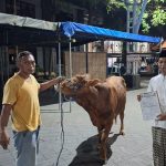 Berbagi Kurban Wujud Peduli Kemanusiaan di Tengah Ketimpangan