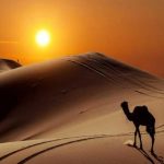 Tidak Ada Hijrah Setelah Fathu Makkah, Lalu Apa Itu Hijrah?