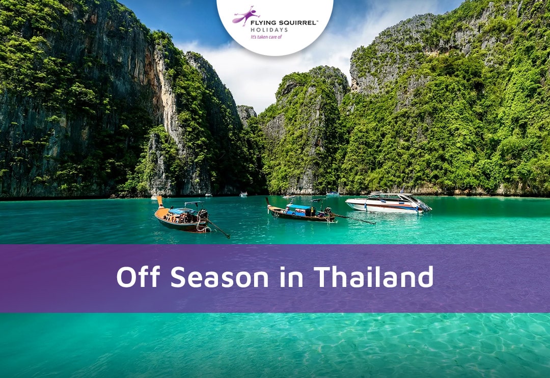 Why it’s worth it! – Flying Squirrel Holidays