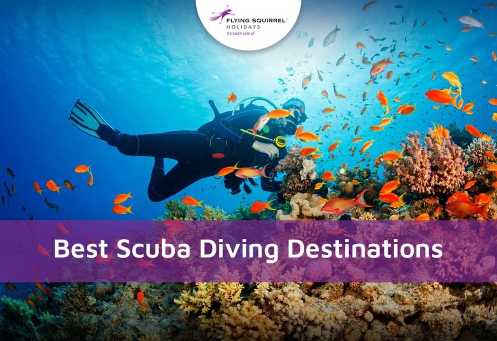 10 Best scuba diving destinations  – Flying Squirrel Holidays