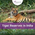 Every detail you need to know – Flying Squirrel Holidays